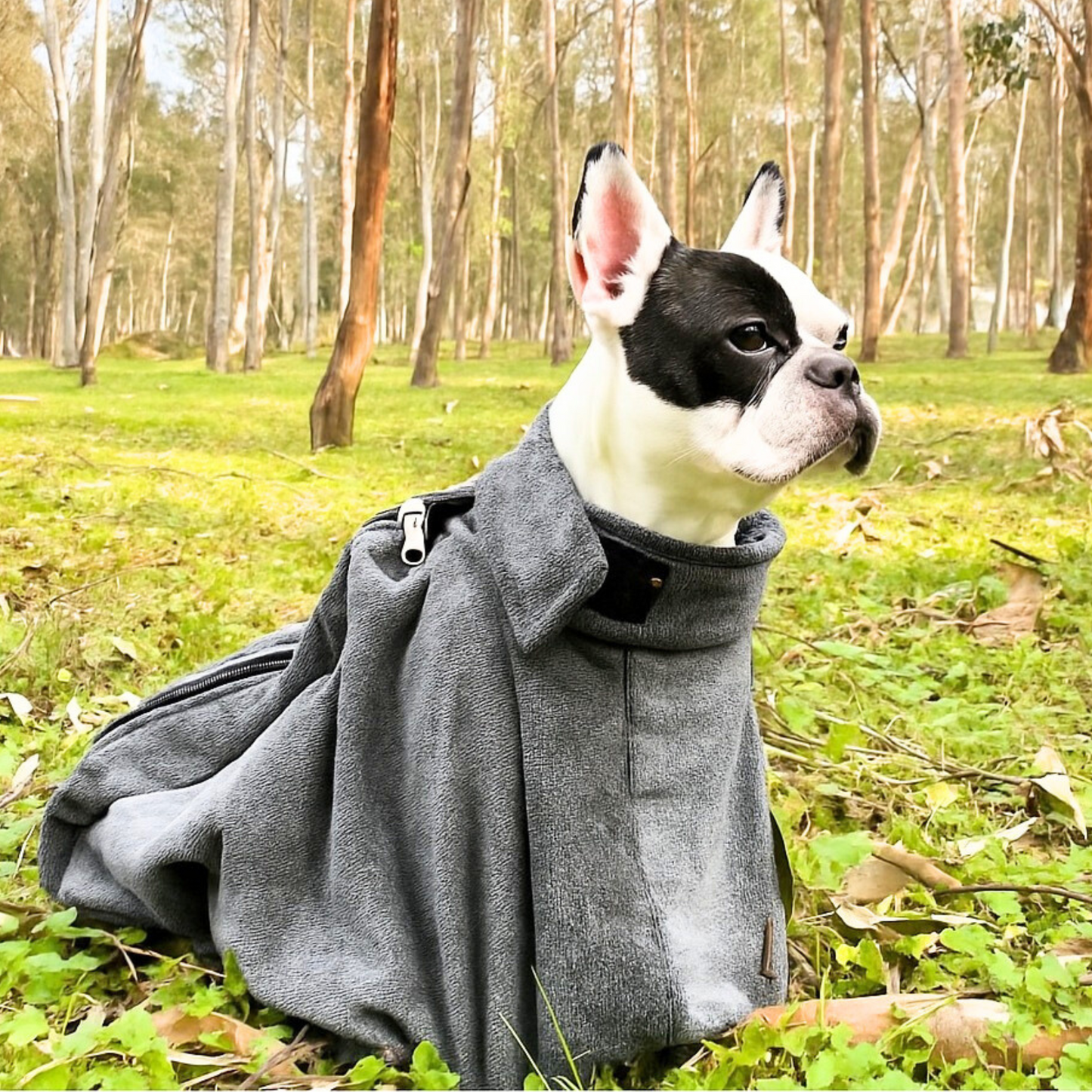 Sac de Séchage pour Chien Gris