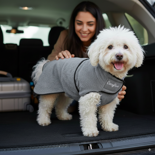Peignoir gris pour Chien
