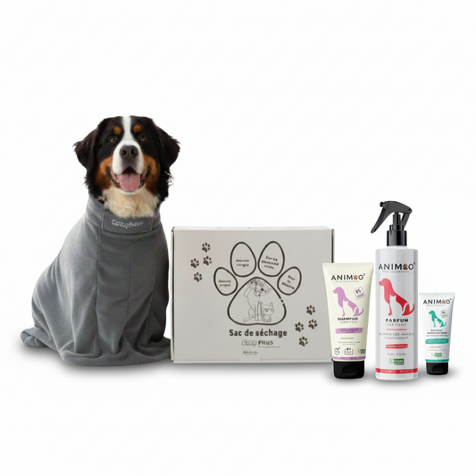 Happy Paws Pack – Taille M (Sac + Spray + Shampoo + Crème offerte) chiens moyens – confort & bonheur