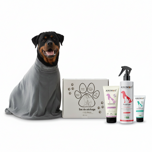 Strong Buddy Pack – Taille L (Sac + Spray + Shampoo + Crème offerte) pour grands chiens – force & protection