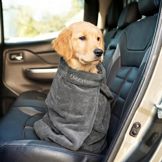 🐾 Sac de Séchage pour Chien CozzyPaws – La solution naturelle pour un chien sec et une maison propre