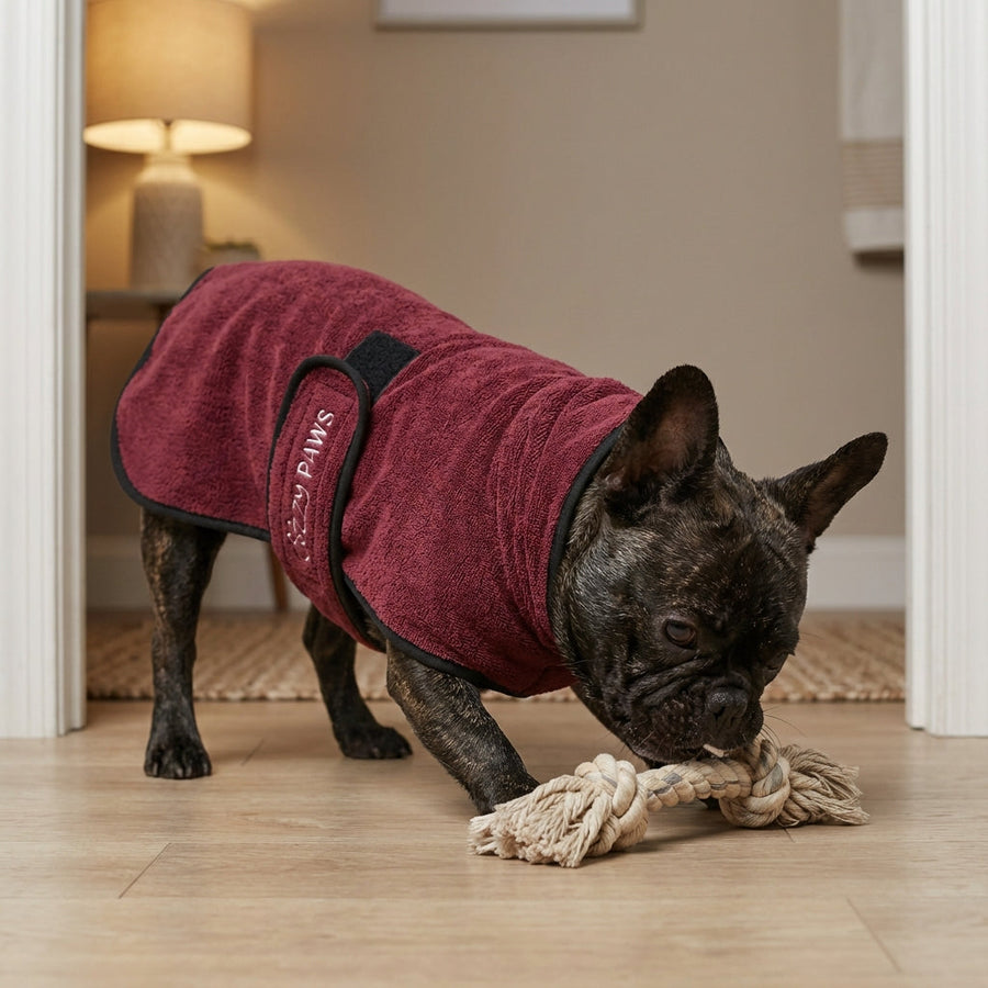 Pourquoi votre chien peut jouer librement avec son peignoir après le bain