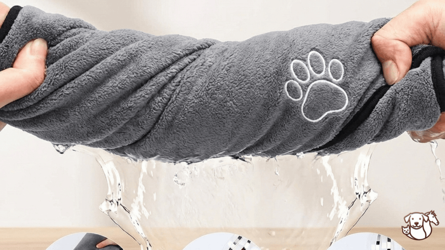 Pourquoi une serviette humaine ne suffit pas pour un chien