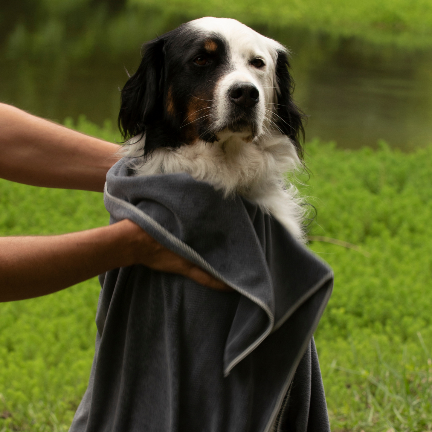 Serviette Gris Ultra-Absorbante pour Chiens & Chats