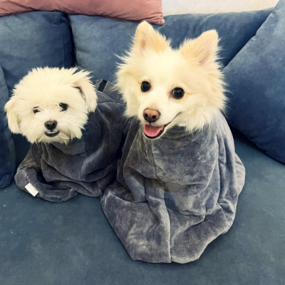 Sac de séchage luxe pour chien