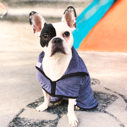 Peignoir pour Chien