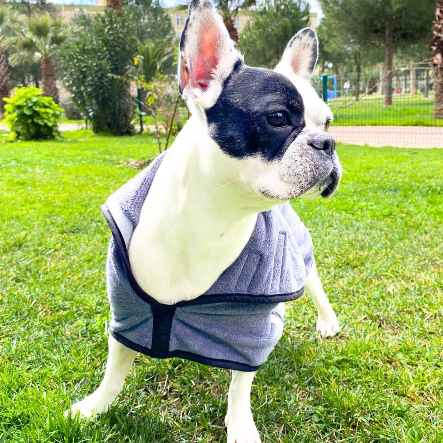 Peignoir pour Chien