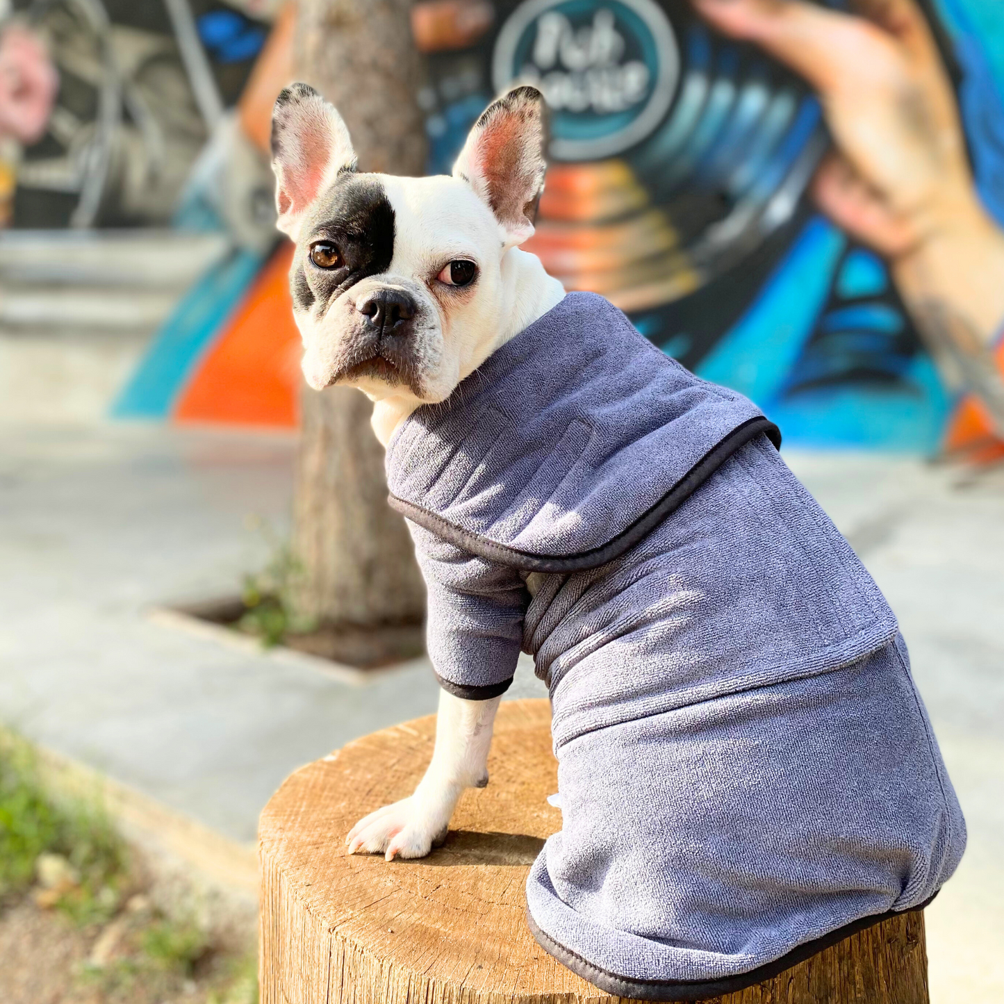 Peignoir pour Chien