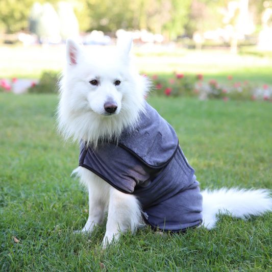Peignoir pour Chien