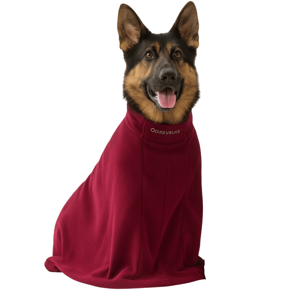 Sac de séchage luxe pour chien