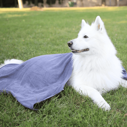 Serviette gris pour chien