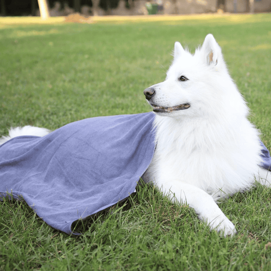 Serviette gris pour chien