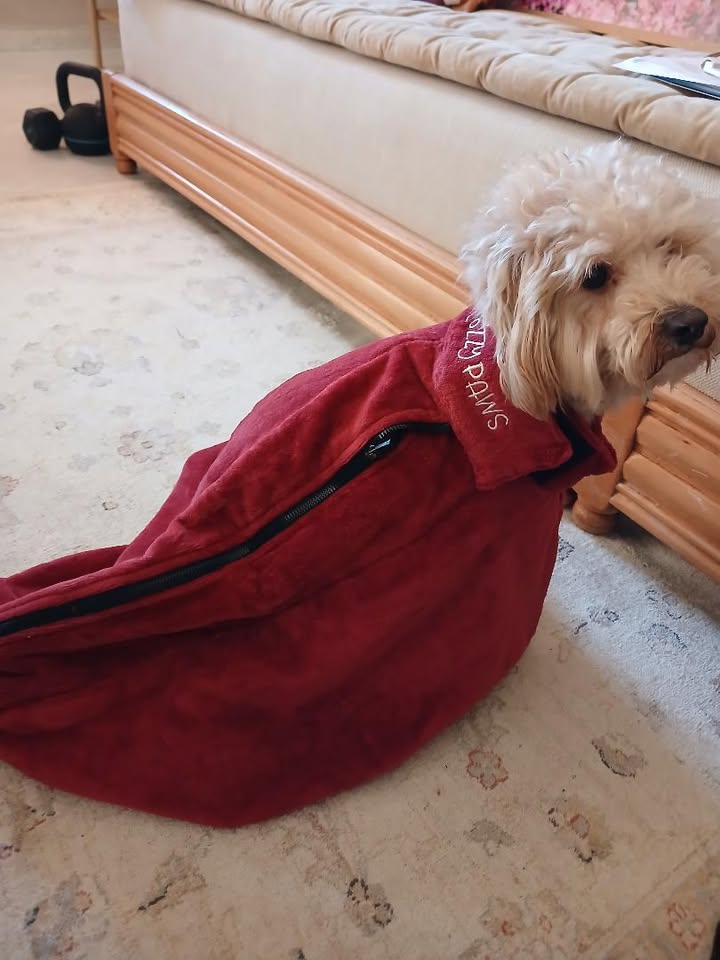 Sac de Séchage Luxe pour Chien – Confort & Élégance