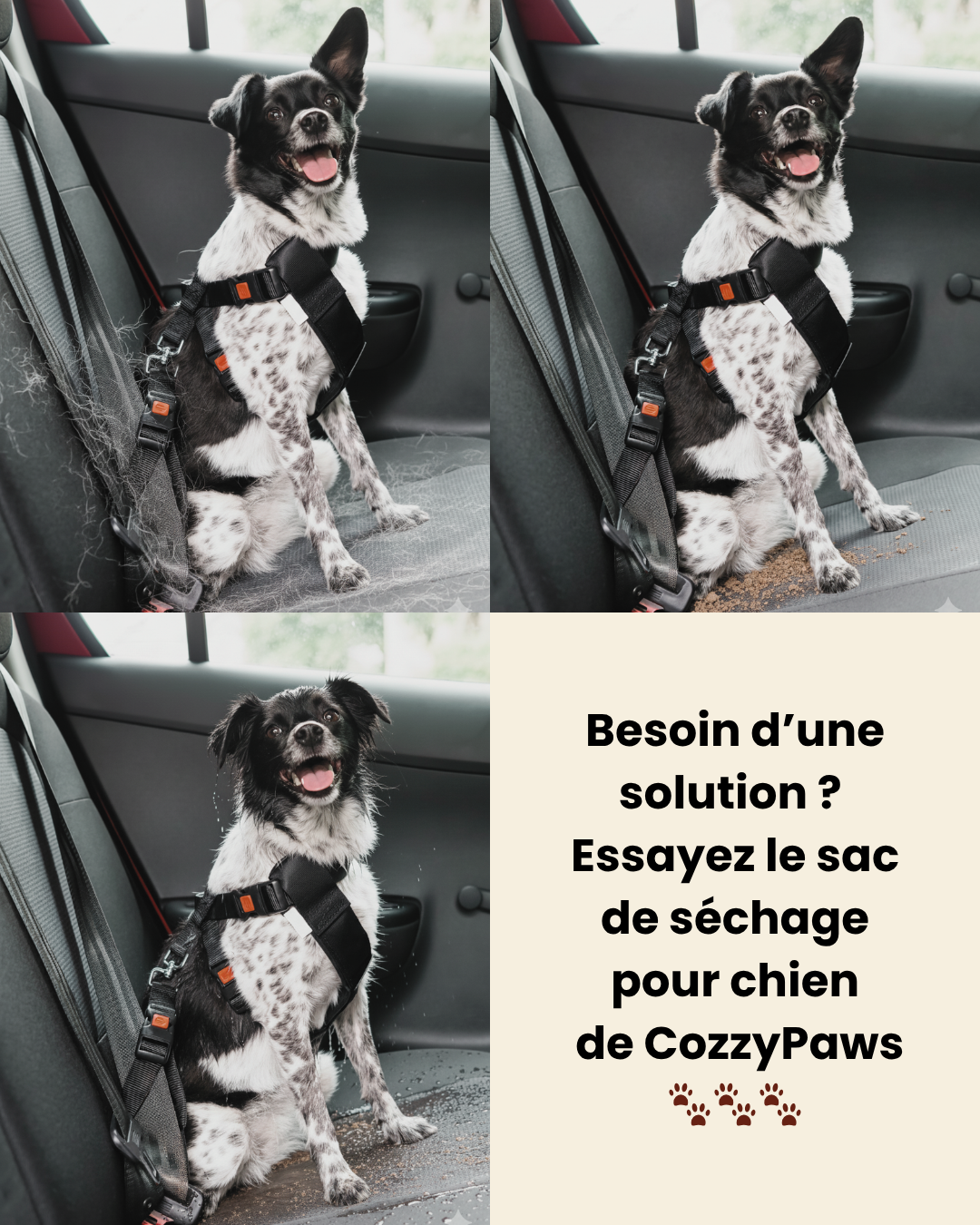 Sac de séchage luxe pour chien