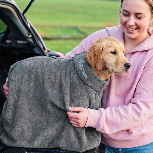 Sac de Séchage Luxe pour Chien – Confort & Élégance