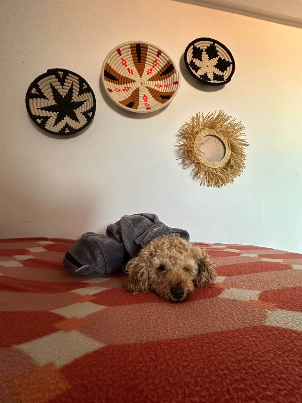 Sac de séchage luxe pour chien