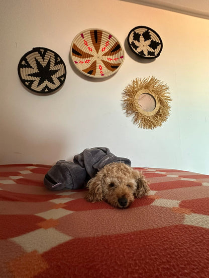 Sac de séchage luxe pour chien