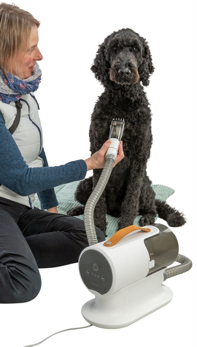 Aspirateur de toilettage pour chien avec tuyau flexible et embout de soin, appareil blanc