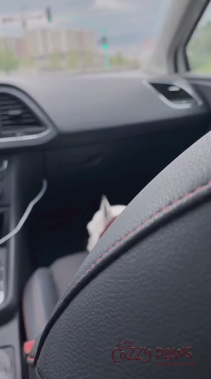 Sac de séchage gris de luxe pour chien