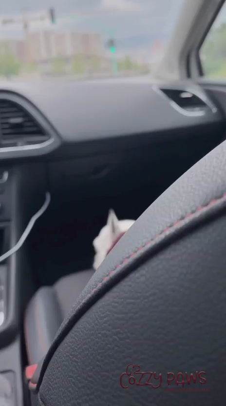 Sac de séchage gris de luxe pour chien
