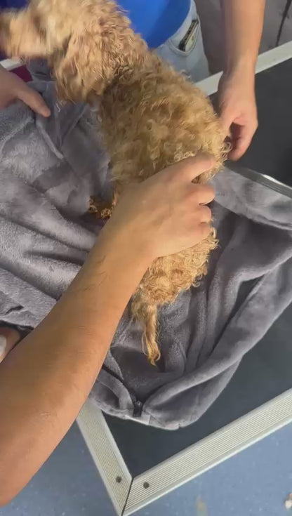 Sac de séchage luxe pour chien