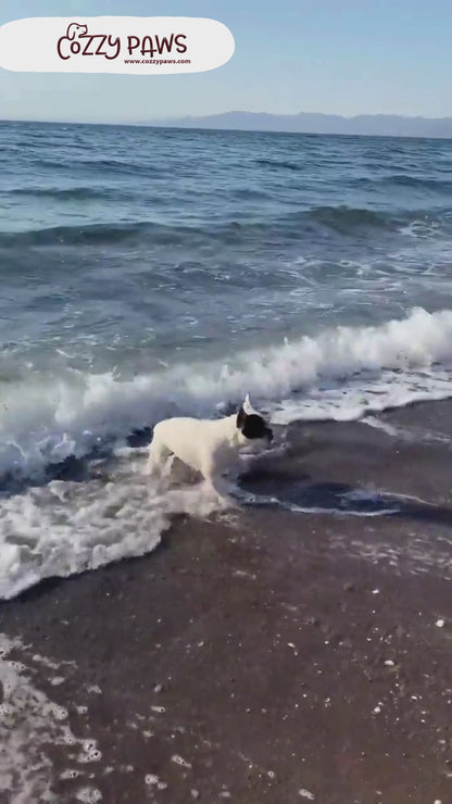Sac de séchage luxe pour chien
